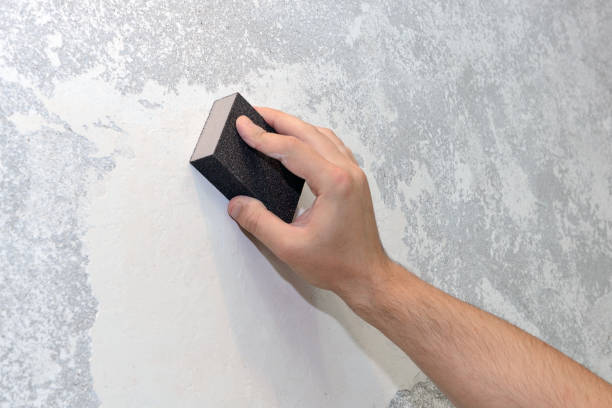 Best Attic Mold Removal  in Cobb Island, MD