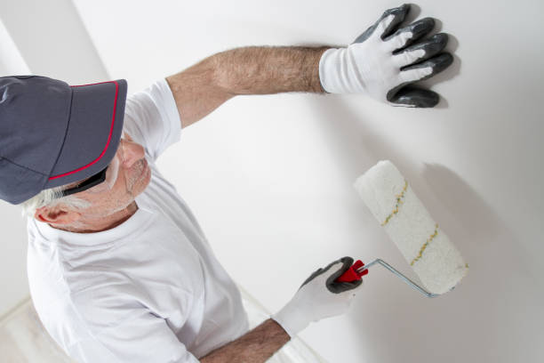 Best Environmental Consulting for Mold Prevention  in Cobb Island, MD