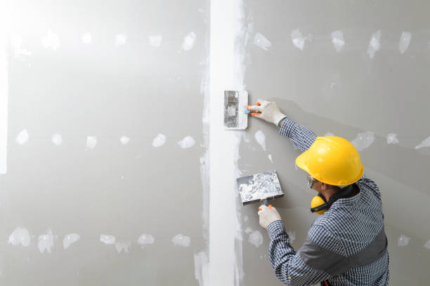 Best Asbestos and Lead Testing During Mold Inspection  in Cobb Island, MD