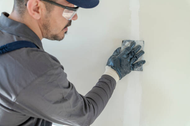 Best Biohazard Mold Removal  in Cobb Island, MD