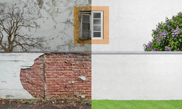 Best Mold Removal for HVAC Installations  in Cobb Island, MD